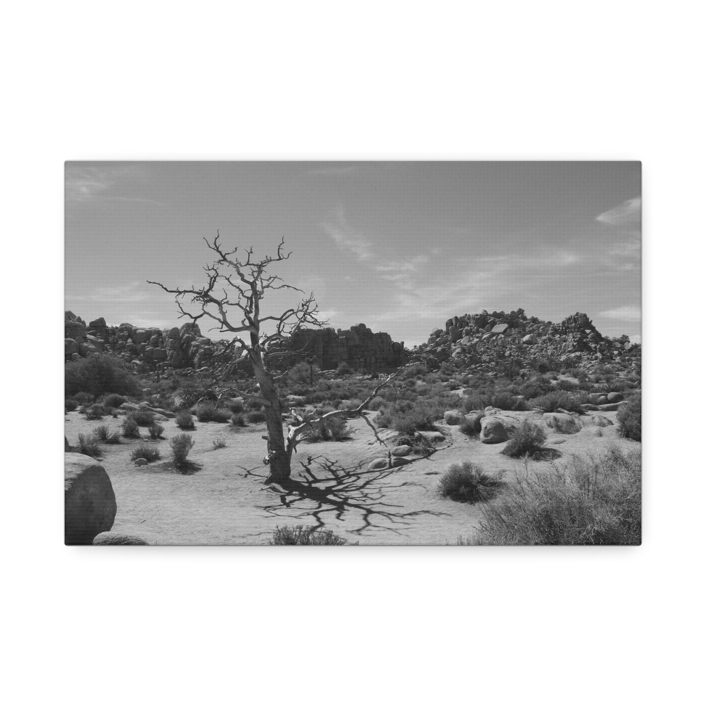 Desert Dead Tree Canvas Stretched 1.5'' | Black and White Landscape