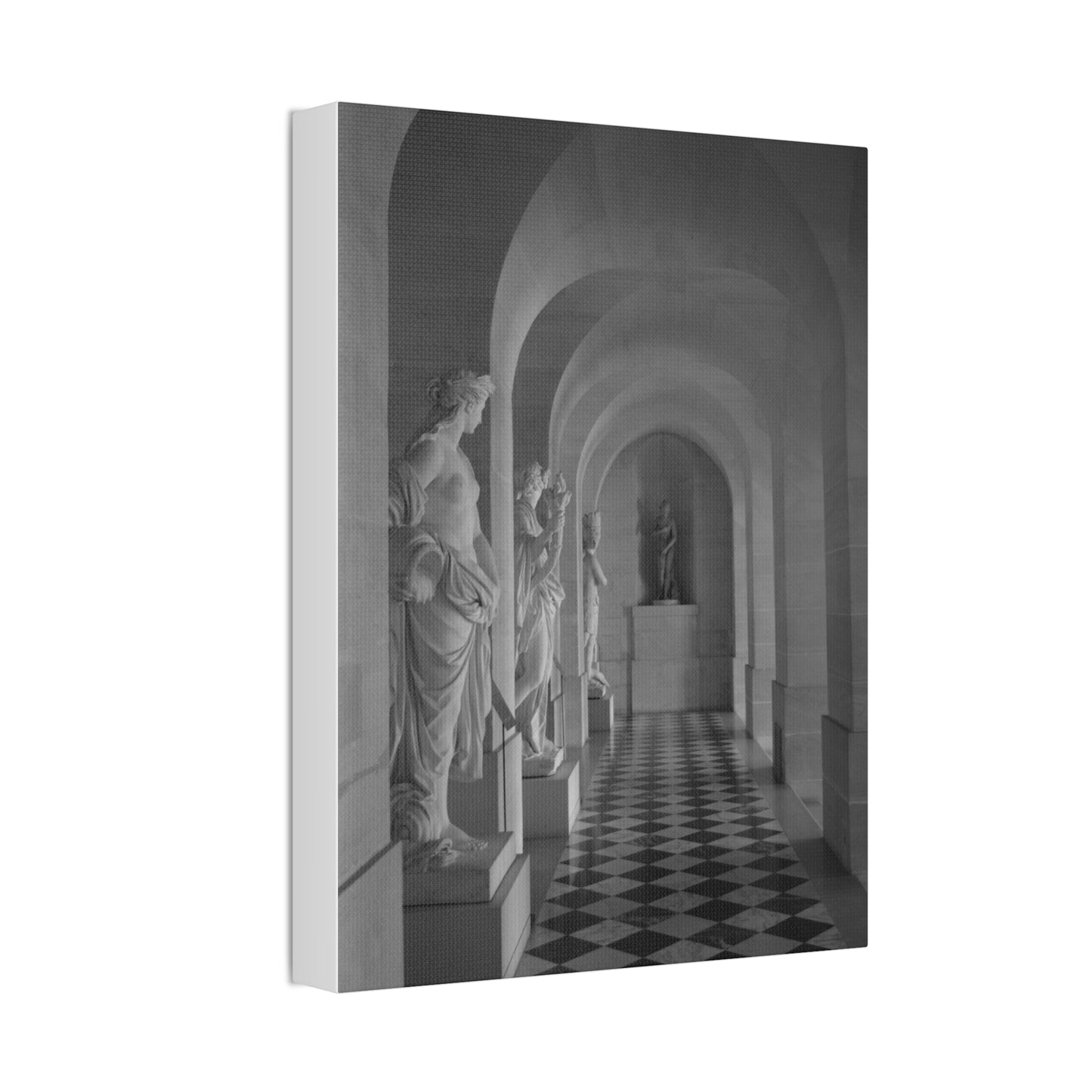 Classical Statue Hall Canvas