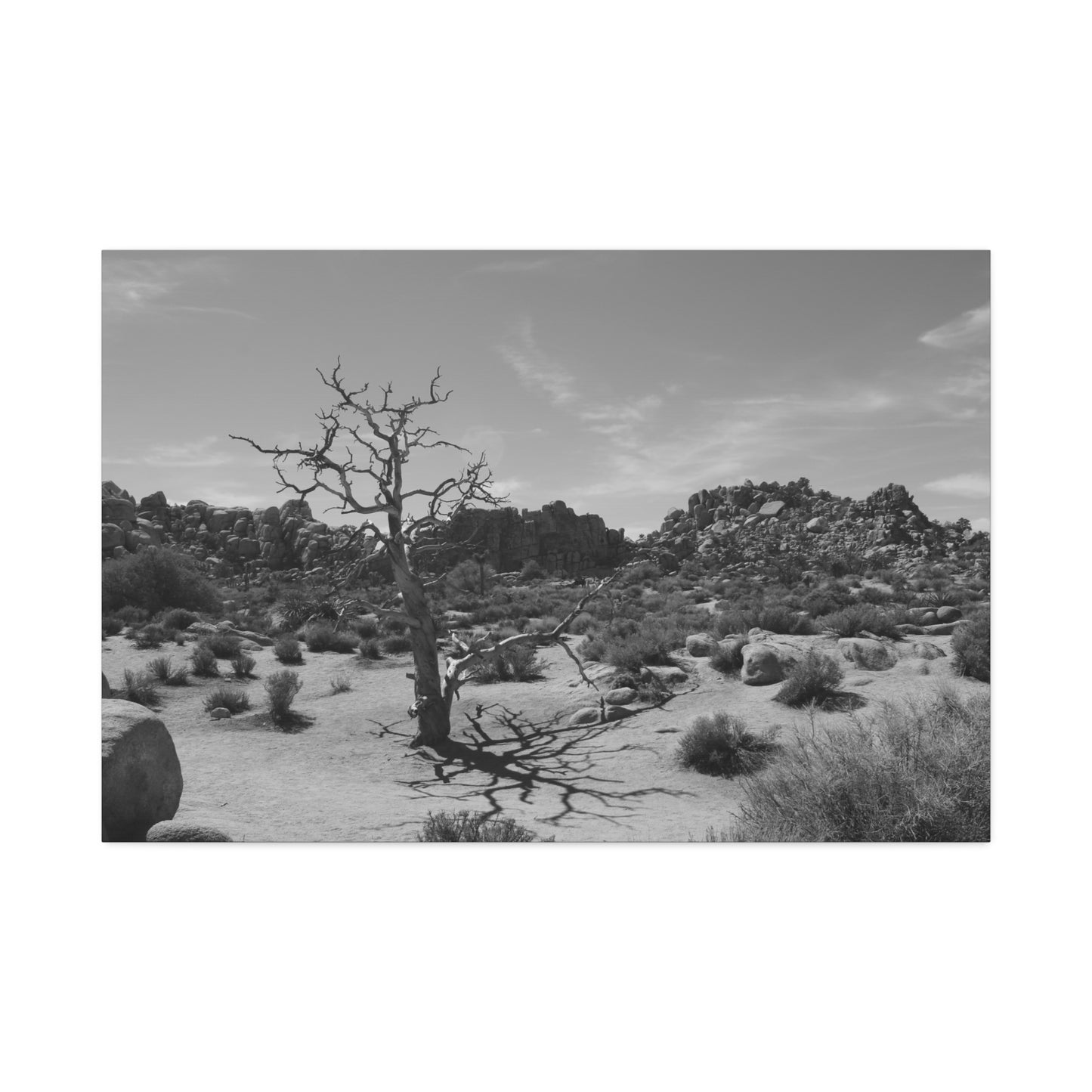 Desert Dead Tree Canvas Stretched 1.5'' | Black and White Landscape