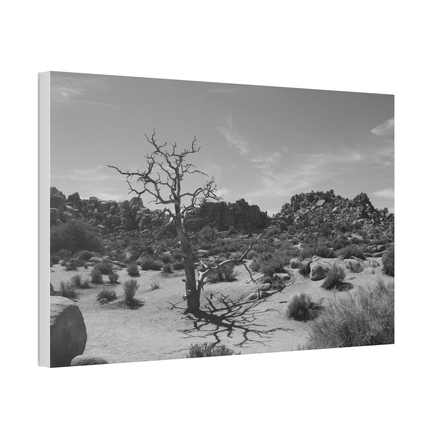 Desert Dead Tree Canvas Stretched 1.5'' | Black and White Landscape