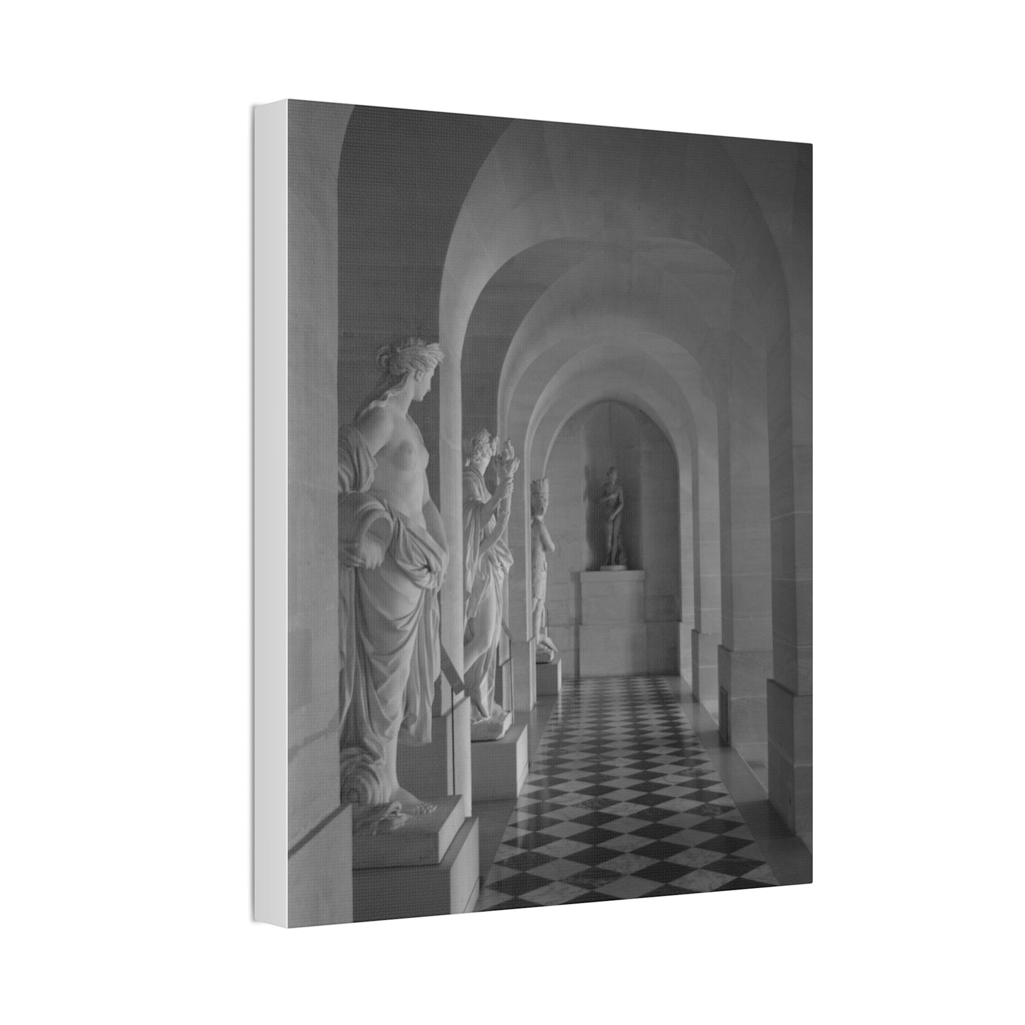 Classical Statue Hall Canvas