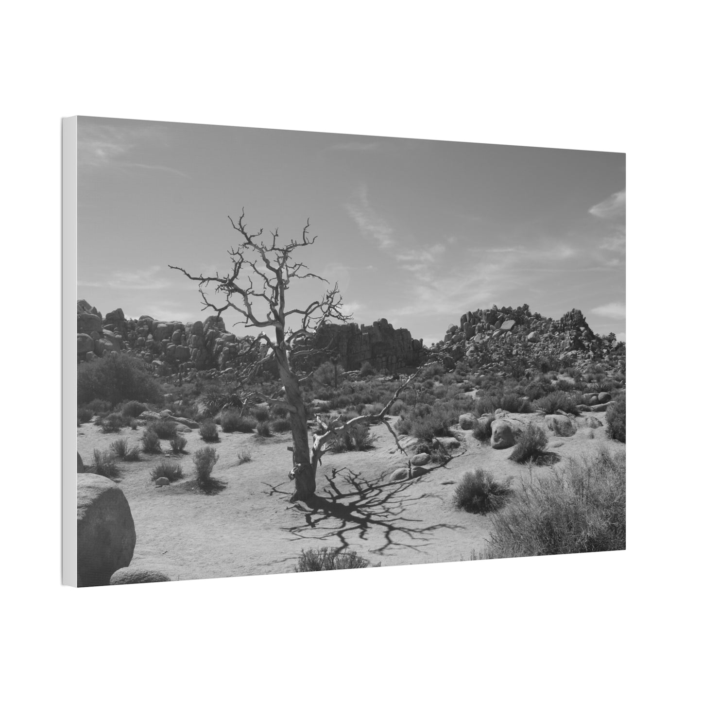 Desert Dead Tree Canvas Stretched 1.5'' | Black and White Landscape