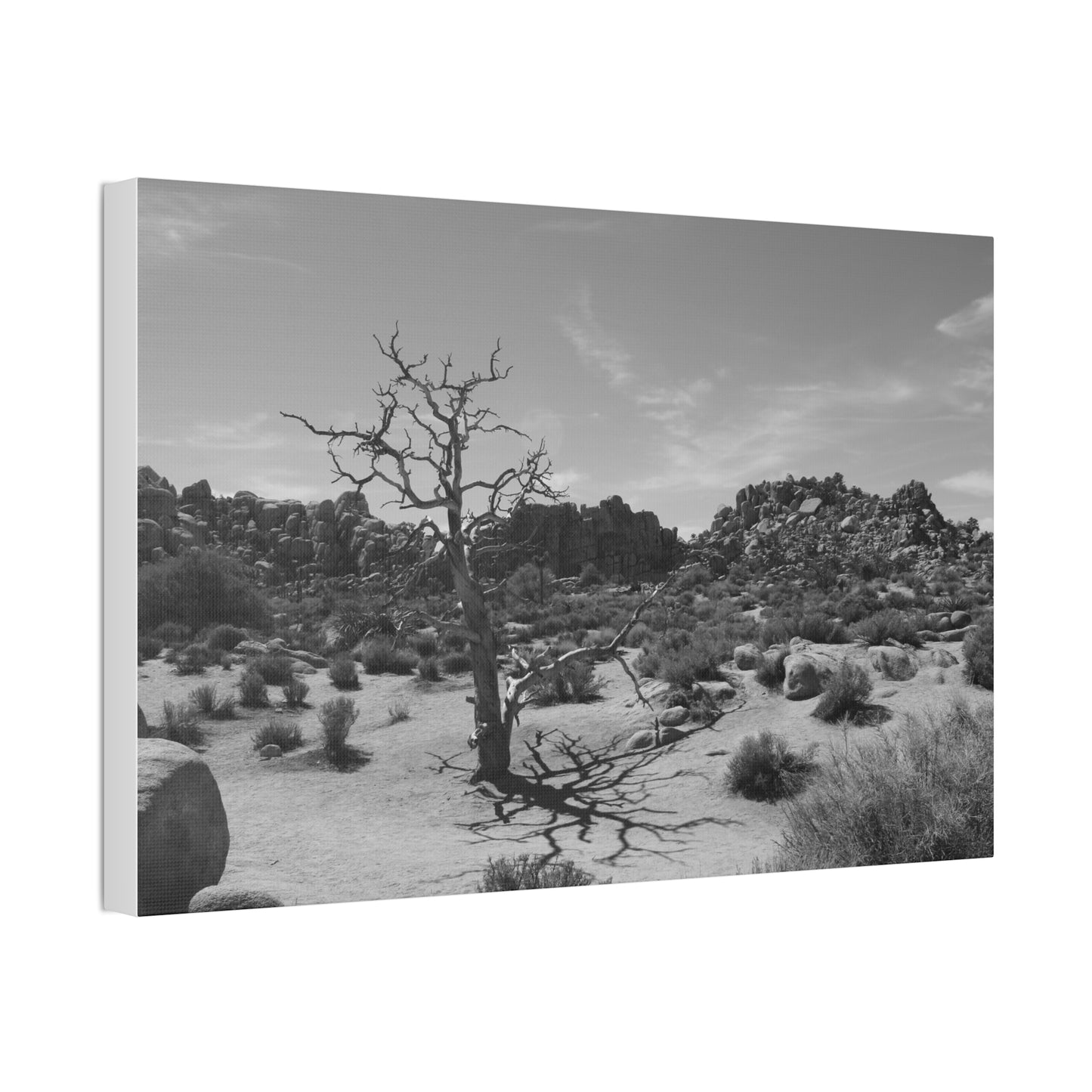 Desert Dead Tree Canvas Stretched 1.5'' | Black and White Landscape