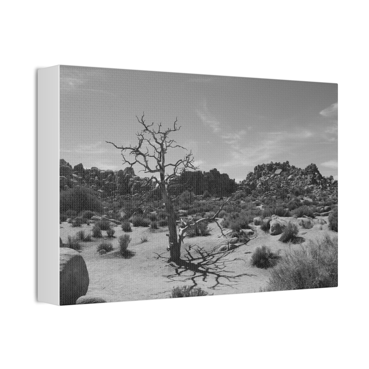 Desert Dead Tree Canvas Stretched 1.5'' | Black and White Landscape